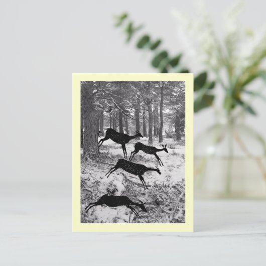 Carte Postale Courant Deer (Debout devant)