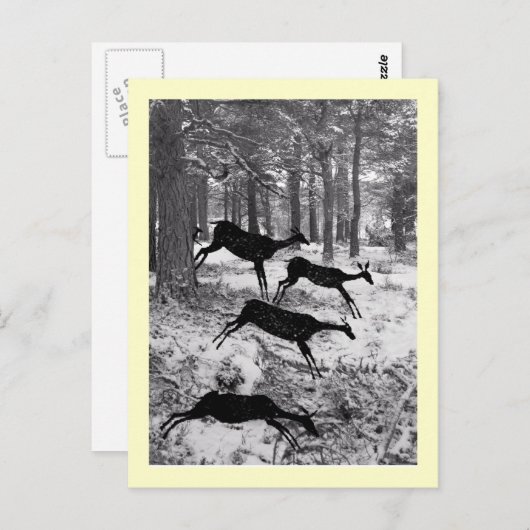 Carte Postale Courant Deer (Devant / Derrière)