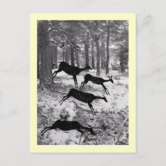 Carte Postale Courant Deer (Devant)