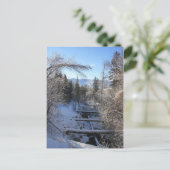 Carte Postale Courant d'hiver (Debout devant)