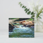 Carte Postale Courant du Tennessee (Debout devant)