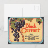 Carte Postale Courant noir (Devant / Derrière)