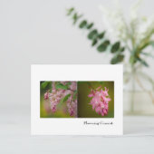 Carte postale Courbe à fleurs (Debout devant)