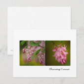Carte postale Courbe à fleurs (Devant / Derrière)