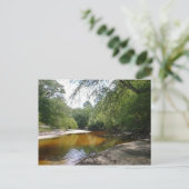 Carte postale - courbure de rivière (Debout devant)