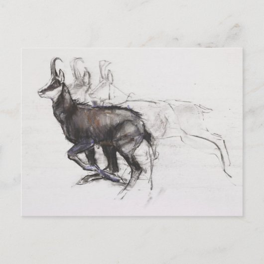 Carte Postale Coureur Chamois (Devant)