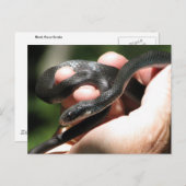 Carte Postale Coureur noir bleuâtre (Devant / Derrière)