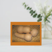 Carte Postale Courge de Butternut (Debout devant)