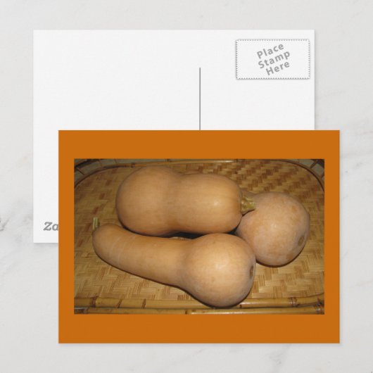 Carte Postale Courge de Butternut (Devant / Derrière)