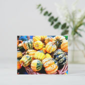 Carte Postale Courge de chute (Debout devant)