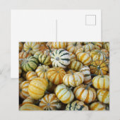 Carte Postale Courges d'automne orange et vertes (Devant / Derrière)