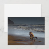 Carte Postale Courir Brindled Lurcher Greyhound sur la plage (Devant / Derrière)