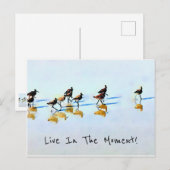 Carte Postale Courir des bécasseaux sur Hilton Head Beach (Devant / Derrière)