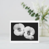 Carte Postale couronne d'épines (Debout devant)