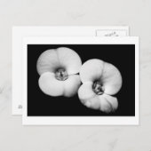 Carte Postale couronne d'épines (Devant / Derrière)