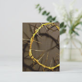 Carte postale Couronne d'épines (Debout devant)