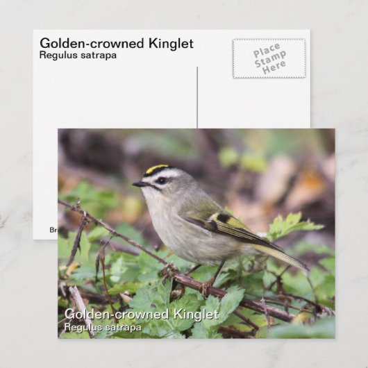 Carte Postale Couronne dorée (Devant / Derrière)