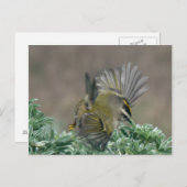 Carte postale Couronne dorée (Devant / Derrière)