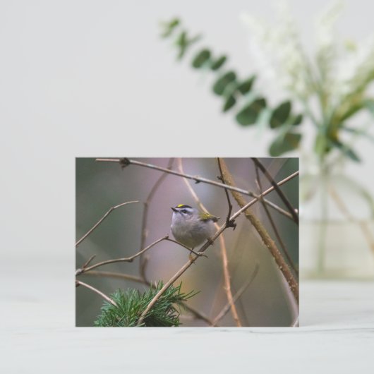 Carte Postale Couronne dorée (Debout devant)