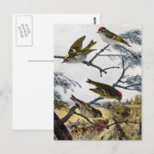 Carte Postale Couronnes d'or et de rubis (Devant / Derrière)