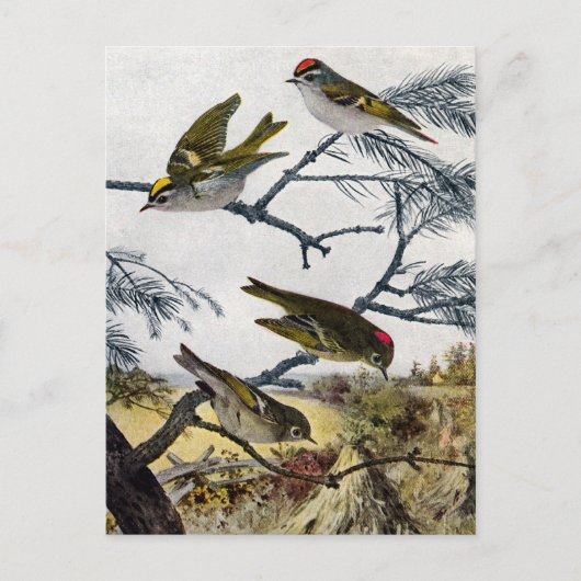 Carte Postale Couronnes d'or et de rubis (Devant)