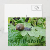 Carte postale Courrier (Devant / Derrière)