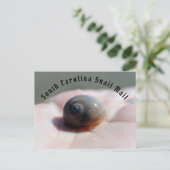 Carte postale Courrier (Debout devant)