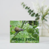 Carte postale Courrier (Debout devant)