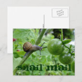 Carte postale Courrier (Devant / Derrière)