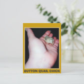 CARTE POSTALE COURRIER DE BOUTON (Debout devant)