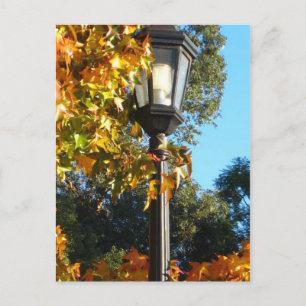 Carte Postale Courrier de lampe dans l'automne