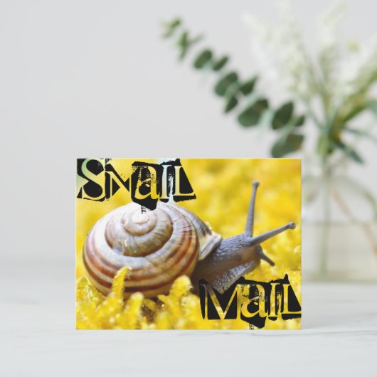 Carte Postale Courrier d'escompte (Debout devant)