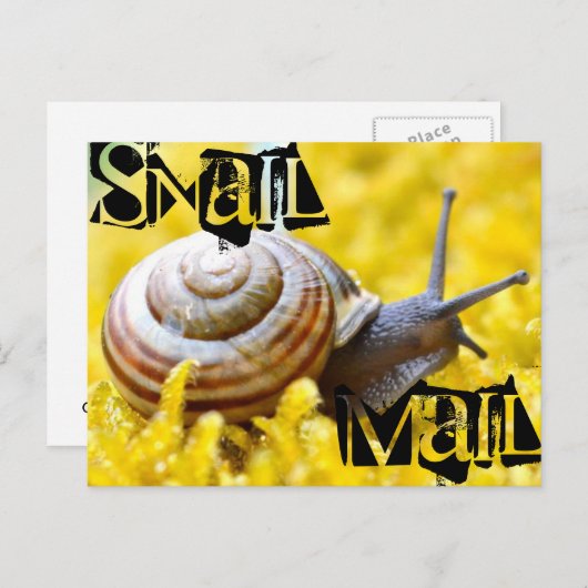 Carte Postale Courrier d'escompte (Devant / Derrière)