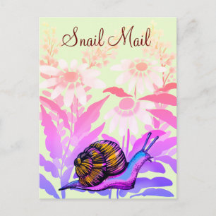 Carte Postale courrier escargot coloré