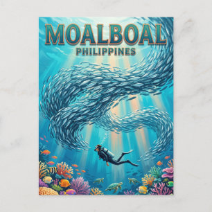 Carte Postale Course aux sardines de Moalboal Philippines