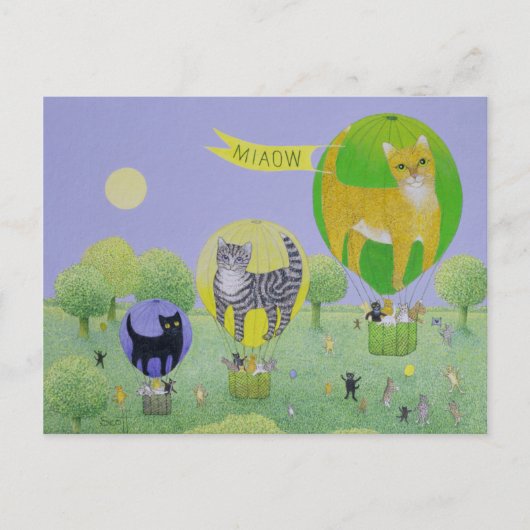 Carte Postale Course de ballon de chat (Devant)