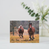 Carte Postale Course de chevaux sauvages à Woods (Debout devant)