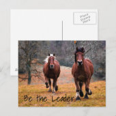 Carte Postale Course de chevaux sauvages à Woods (Devant / Derrière)