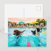 Carte Postale Course de natation pour chiens (Devant / Derrière)