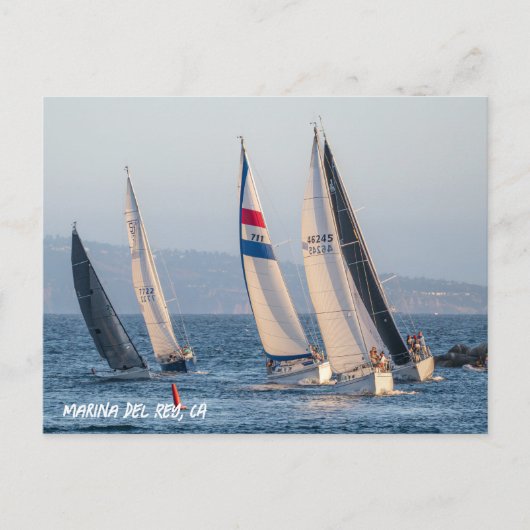 Carte Postale Course de yacht - Marina Del Rey, CA (Devant)