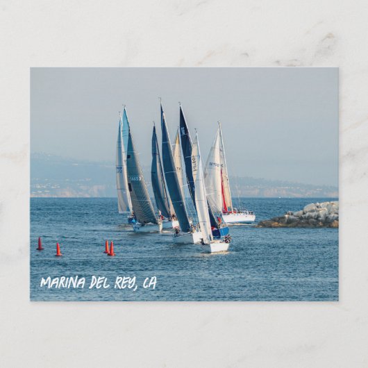 Carte Postale Course de yacht - Marina Del Rey, CA (Devant)