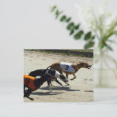 Carte Postale course greyhound (Debout devant)