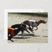 Carte Postale course greyhound (Devant / Derrière)