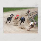 Carte Postale course greyhound (Devant)