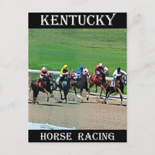 Carte Postale Course hippographique du Kentucky