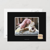 Carte Postale Course ! Sauvez l'individu d'ur ! (Devant / Derrière)