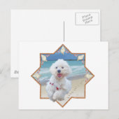 Carte Postale Course sur la plage (Devant / Derrière)