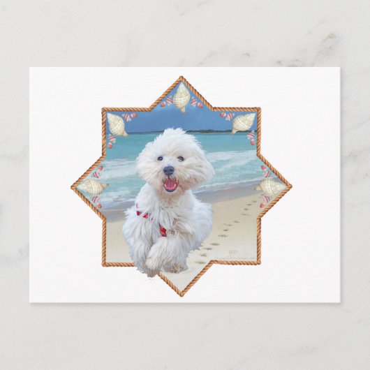 Carte Postale Course sur la plage (Devant)