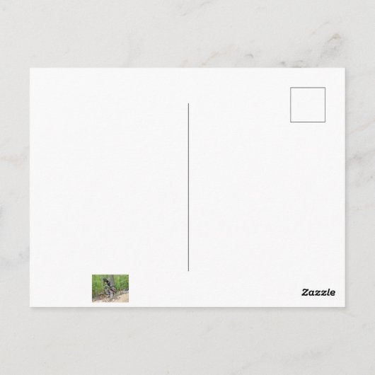 Carte Postale Course VTT Enduro (Dos)