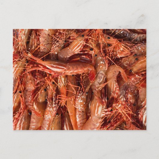 Carte Postale Courses délicieuses (Devant)